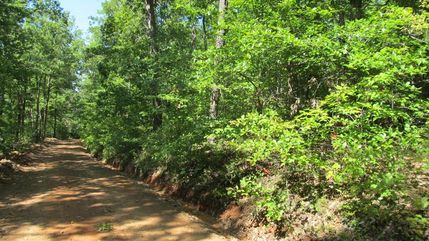Farm Property in Madison County, Arkansas
