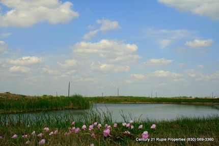 Property in Guadalupe County, Texas