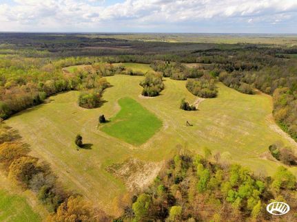 Farm Property in Henry County, Tennessee