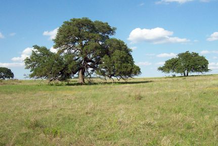 Horse Property in Kendall County, Texas
