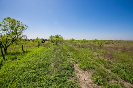 Farm Property in Runnels County, Texas