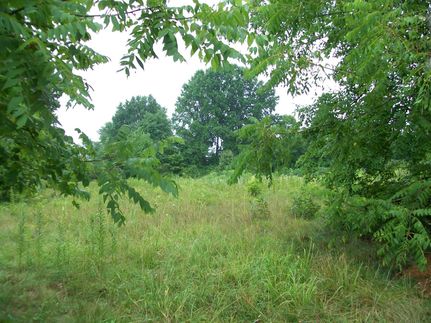 Ranch Property in Coffee County, Tennessee