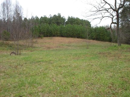 Farm Property in Louisa County, Virginia