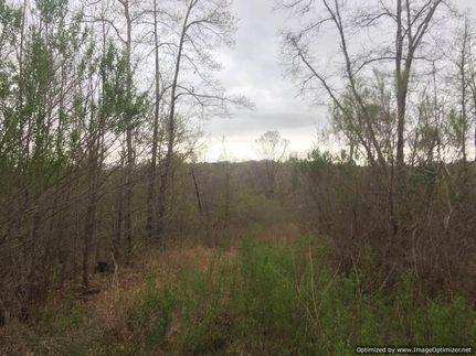 Farm Property in Holmes County, Mississippi