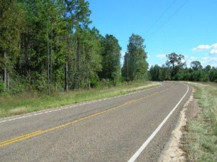 Farm Property in Polk County, Texas