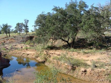 Ranch Property in Gillespie County, Texas