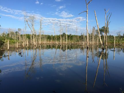 Property in Randolph County, Georgia