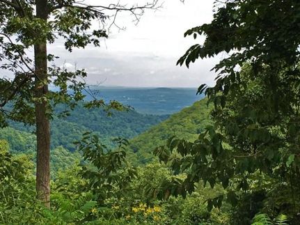 Undeveloped Land in Franklin County, Virginia