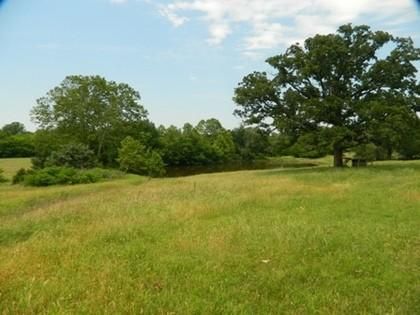 Undeveloped Land in Atoka County, Oklahoma