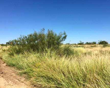 Ranch Property in Potter County, Texas