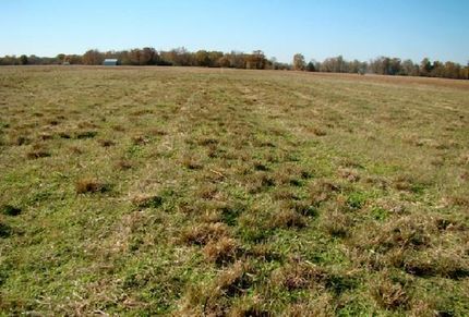 Farm Property in White County, Arkansas