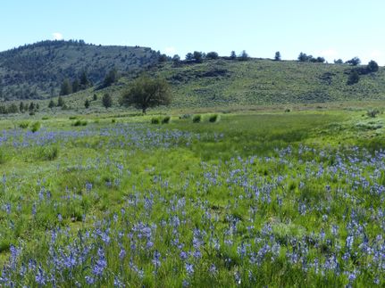 Property in Harney County, Oregon