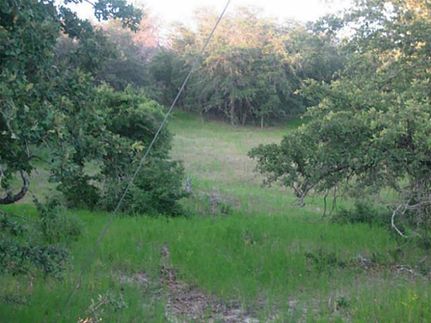 Ranch Property in Wise County, Texas
