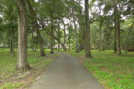 Farm Property in Levy County, Florida