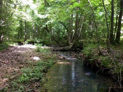 Farm Property in Lewis County, Tennessee