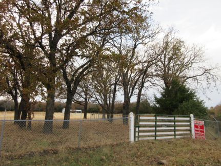 Timberland Property in Cooke County, Texas