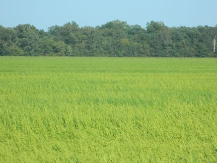 Ranch Property in Woodruff County, Arkansas