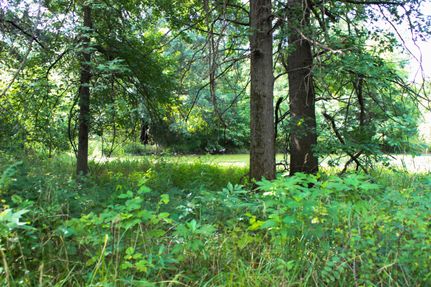 Farm Property in Johnson County, Missouri