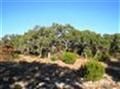 Ranch Property in Llano County, Texas