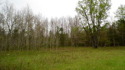 Farm Property in Manistee County, Michigan