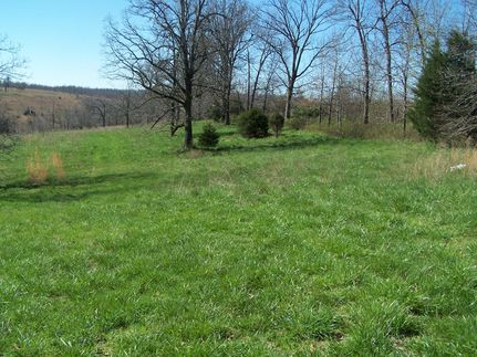 Farm Property in Fulton County, Arkansas