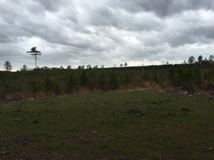 Farm Property in Copiah County, Mississippi