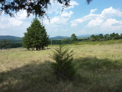 Ranch Property in Le Flore County, Oklahoma