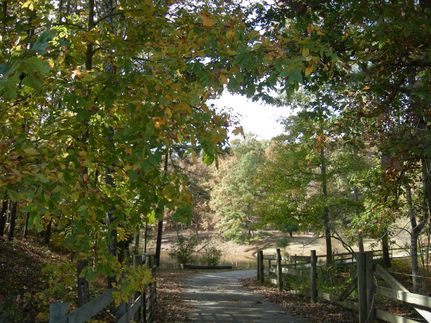 Farm Property in Jasper County, Georgia