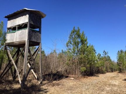 Property in Taylor County, Georgia