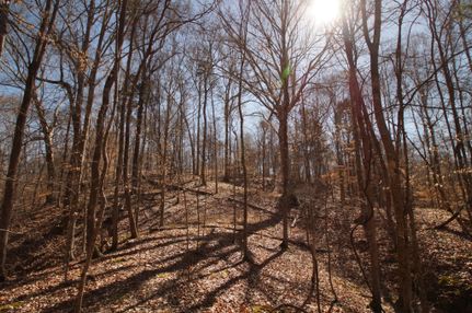 Farm Property in Holmes County, Mississippi