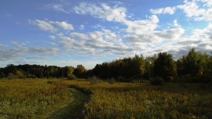 Ranch Property in Tuscola County, Michigan