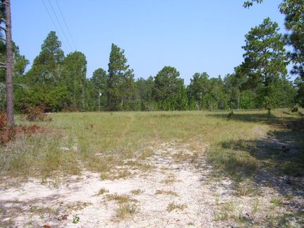 Property in Lexington County, South Carolina