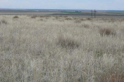 Ranch Property in Adams County, Colorado