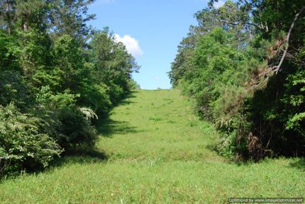 Ranch Property in Pearl River County, Mississippi