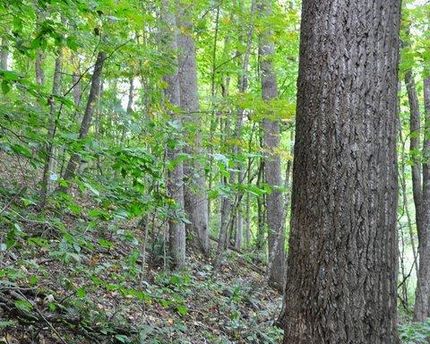 Property in Greenbrier County, West Virginia