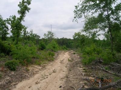 Ranch Property in Gadsden County, Florida