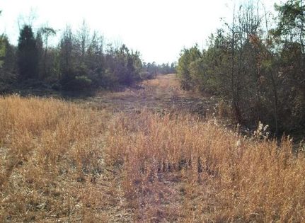Ranch Property in Saluda County, South Carolina
