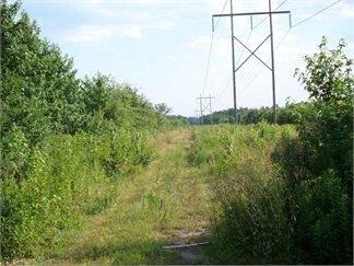 Farm Property in Darlington County, South Carolina