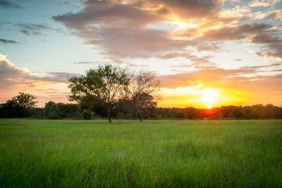 Farm Property in Fayette County, Texas