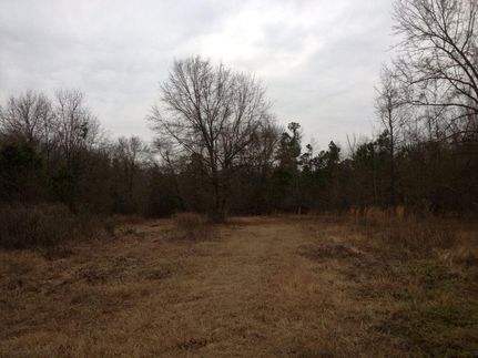 Ranch Property in Clarendon County, South Carolina