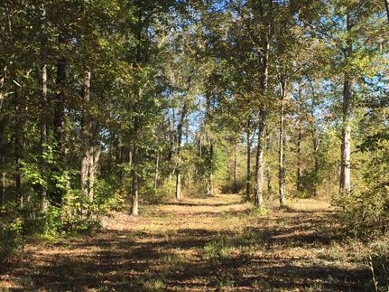 Ranch Property in Clarendon County, South Carolina