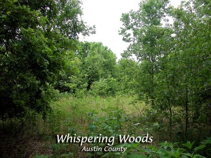 Farm Property in Austin County, Texas