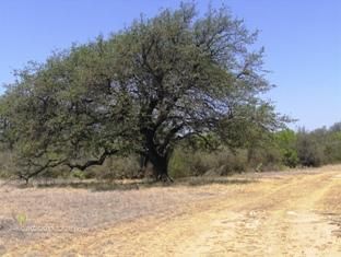 Farm Property in McCulloch County, Texas