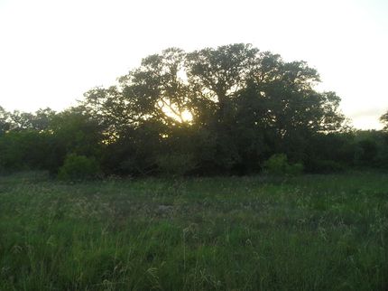 Farm Property in Jackson County, Texas