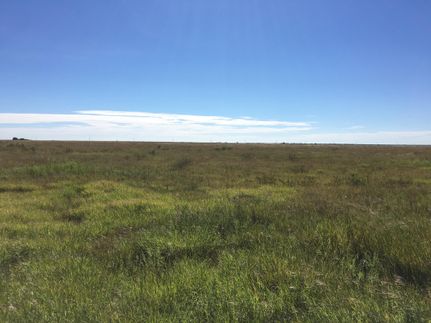Farm Property in Lamb County, Texas