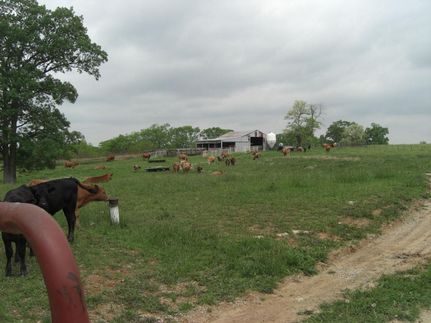 Farm Property in Clay County, Missouri