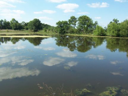 Farm Property in Anderson County, Kansas