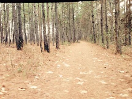 Ranch Property in Pike County, Alabama
