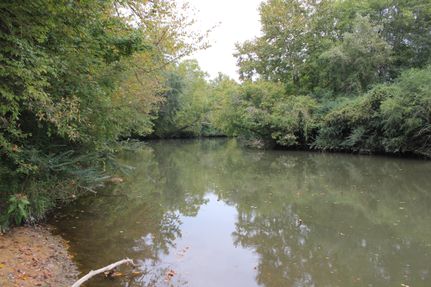 Lakefront Property in Cherokee County, Alabama