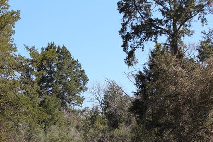Farm Property in Colorado County, Texas